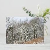 Winter Macclesfield Forest Card Dankeskarte (Stehend Vorderseite)