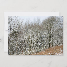 Winter Macclesfield Forest Card Dankeskarte