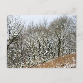 Winter Macclesfield Forest Card Postkarte