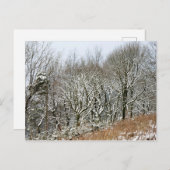 Winter Macclesfield Forest Card Postkarte (Vorne/Hinten)