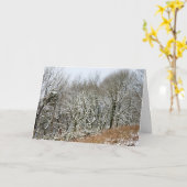 Winter Macclesfield Forest Karte (Gelbe Blume)