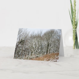 Winter Macclesfield Forest Karte