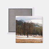 Winter...... Magnet (Vorderseite/Rückseite)