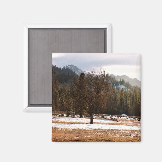 Winter...... Magnet (Vorderseite/Rückseite)