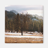 Winter...... Magnet (Vorne)