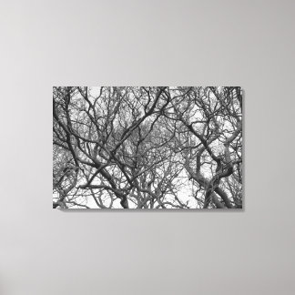 Winter Magnolia Branchen im Frühjahr B&W Leinwanddruck