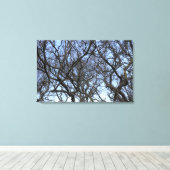 Winter Magnolia Branchen im Frühjahr Leinwanddruck (Insitu (Holzboden))