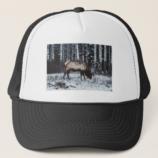 Winter Majesty: Elk in Snow Trucker Cap Truckerkappe (Vorderseite)