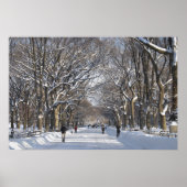 Winter Mall Central Park Poster (Vorne)