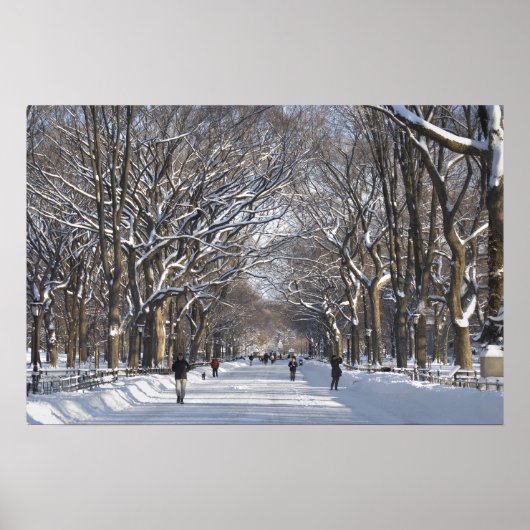 Winter Mall Central Park Poster (Vorne)