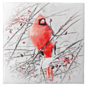 WINTER-MANNESKardinal Fliese (Vorderseite)