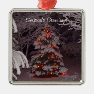 Winter-Märchenland-Feiertags-Baum beleuchtet Silbernes Ornament
