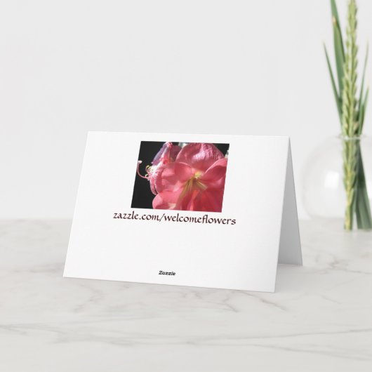 Winter-Märchenland Feiertagskarte (Rückseite)