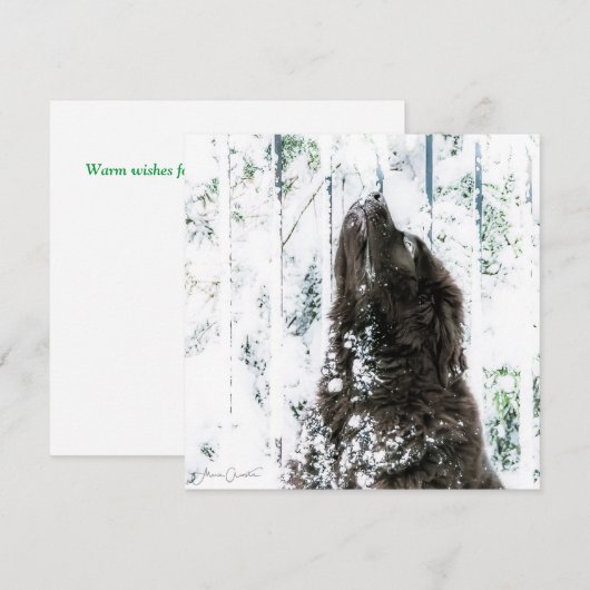 Winter-Märchenland Feiertagskarte (Vorne/Hinten)