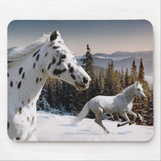 Winter-Märchenland Mousepad