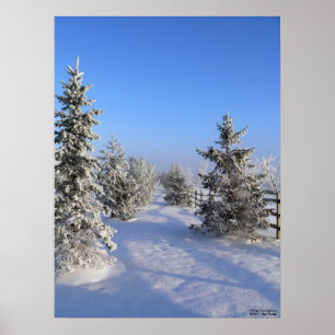 Winter-Märchenland-Plakat Poster