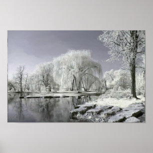 Winter-Märchenland Poster