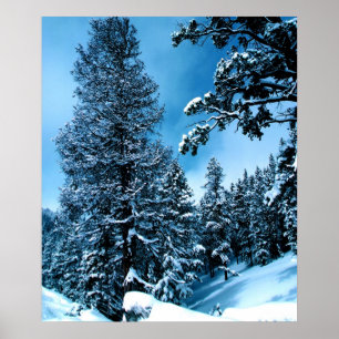 Winter-Märchenland Poster