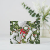 Winter - Mit Eis überzogene Stechpalme Postkarte (Stehend Vorderseite)