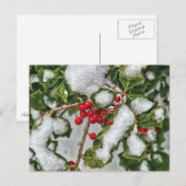 Winter - Mit Eis überzogene Stechpalme Postkarte (Vorne/Hinten)