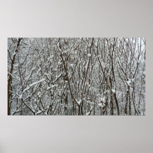 Winter mit schneebedeckten Branchen Poster