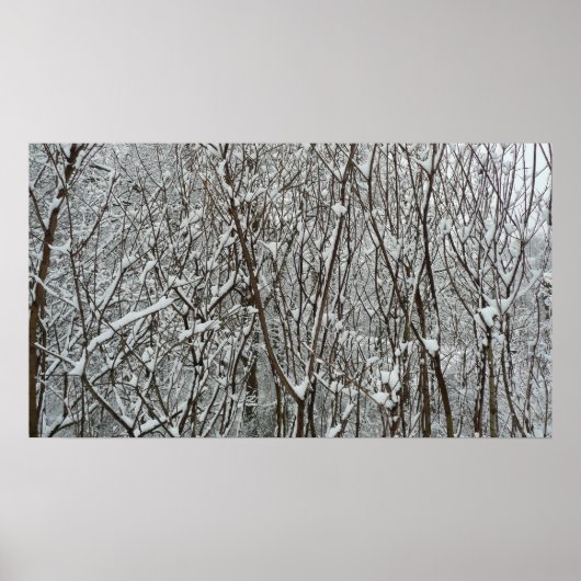 Winter mit schneebedeckten Branchen Poster (Vorne)