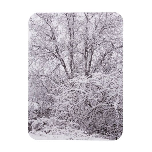 Winter mit schneebedeckter Landschaft Magnet (Vertikal)