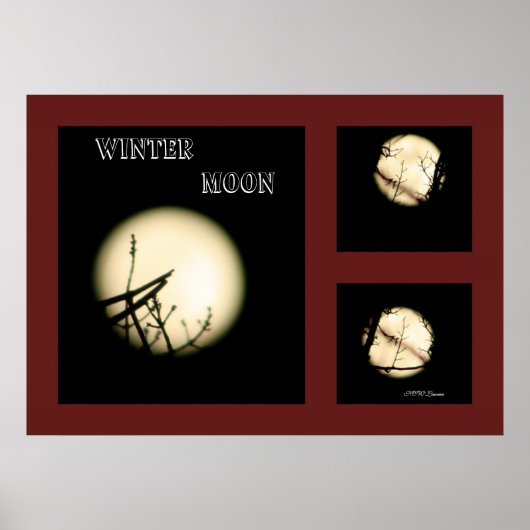 Winter Moon Collage Poster (Vorne)
