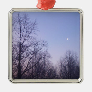 Winter Moon Morning Landschaftsfotografie Silbernes Ornament