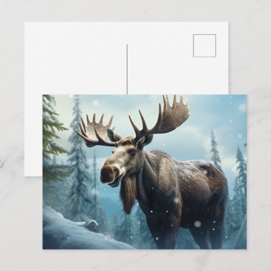 Winter Moose Feiertagspostkarte (Vorne/Hinten)