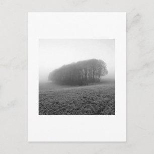 Winter Morning Mist: Cheshire, England Postkarte