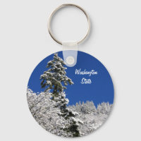 Winter Mountain Arlington Washington Staat
