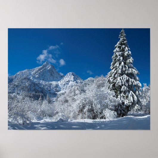 Winter Mountain Wonderland Poster (Vorne)