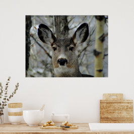Winter Mule Deer Nah-up Poster