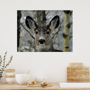Winter Mule Deer Nah-up Poster