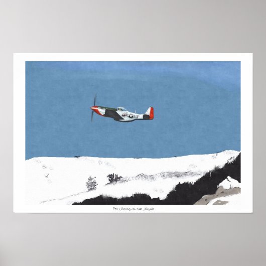 Winter Mustang P51D Poster (Vorne)