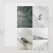 Winter-Natur-Fotocollage