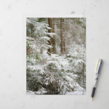 Winter-Natur-Weihnachts-Scrapbook-Hintergrundpapie