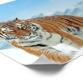 Winter Nature Foto Schnee Tiger Mountains Plakat (Ecke)