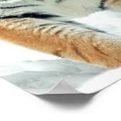 Winter Nature Foto Tiger Snow Mountains Poster (Ecke)
