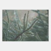 Winter nature, set of 3 different art photos geschenkpapier set (Vorderseite)