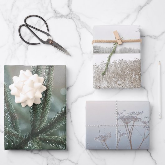 Winter nature, set of 3 different art photos geschenkpapier set (Vorderseite)