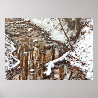 Winter - Naturharmonie Poster