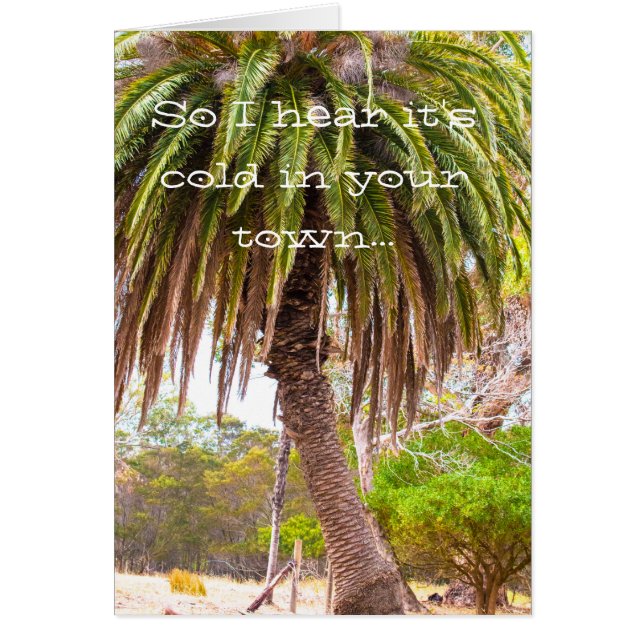 Winter necken (Vorne)