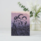 Winter, Norfolk, England - Postkarte (Stehend Vorderseite)