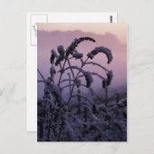 Winter, Norfolk, England - Postkarte (Vorne/Hinten)