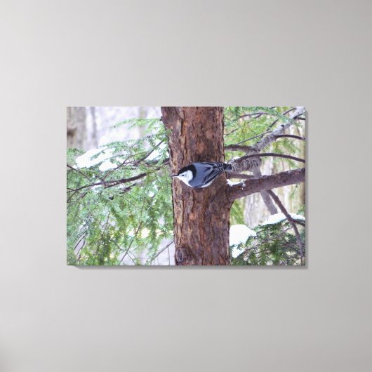Winter-Nuthatch-StretchCanvas Print Leinwanddruck (Vorderseite)