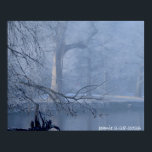 Winter on the Delaware Poster<br><div class="desc">Delaware River,  winter 2026</div>