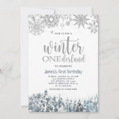 Winter Onderland Silberschneeflocken 1. Geburtstag Einladung (Vorderseite)