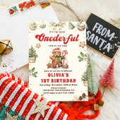 Winter Onederful Grünen Weihnachtskochen Geburtsta Einladung